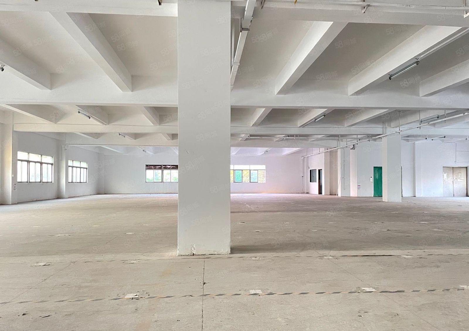 厚街独院两层共6000方厂房出租现成装修可分租