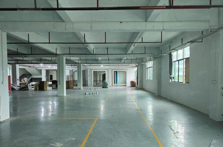 原房东标准独院厂房出租 主干道边上 适合 五金 设备 鞋材