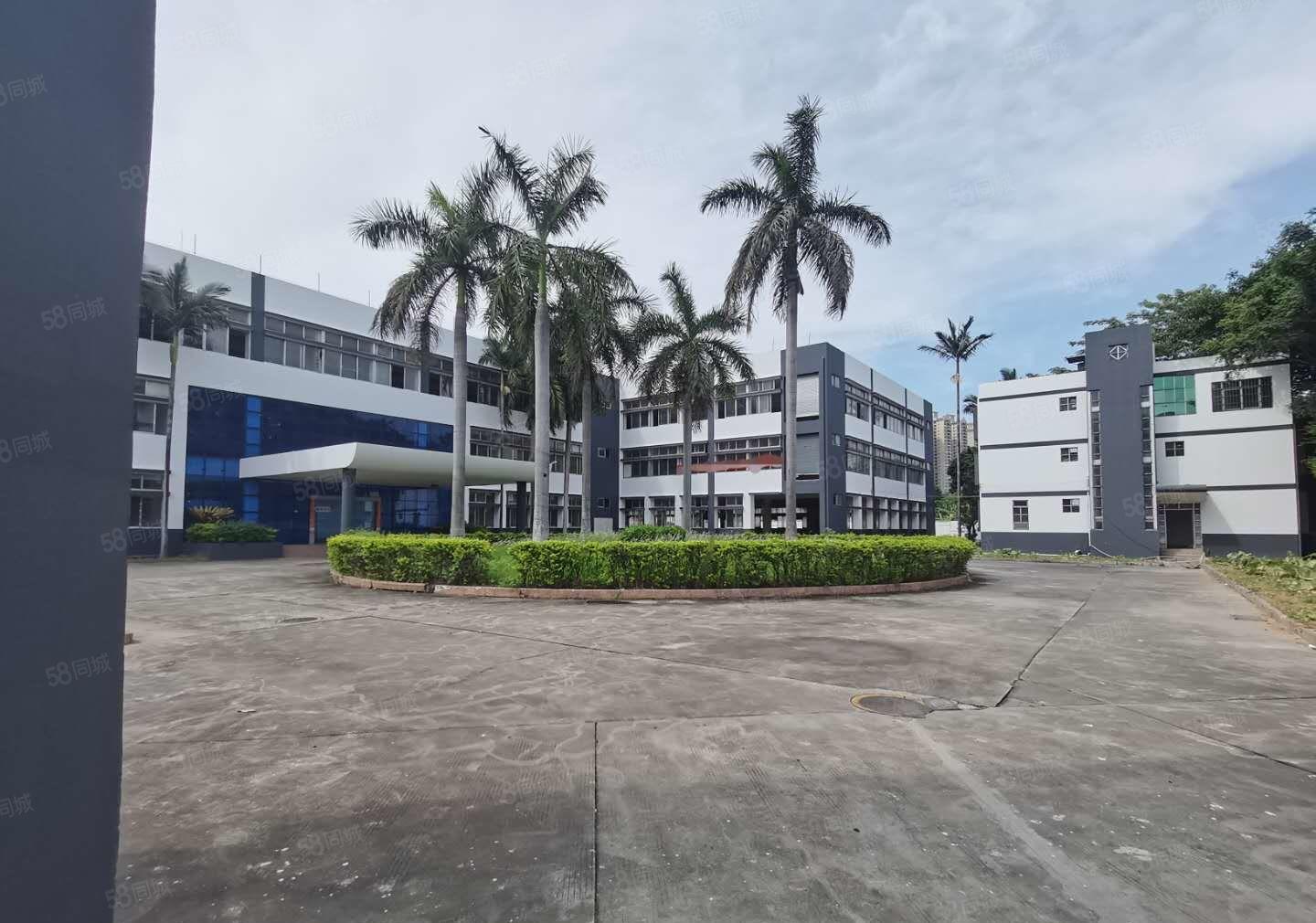 东莞市厚街独门独院标准低价厂房出租空地大带绿化