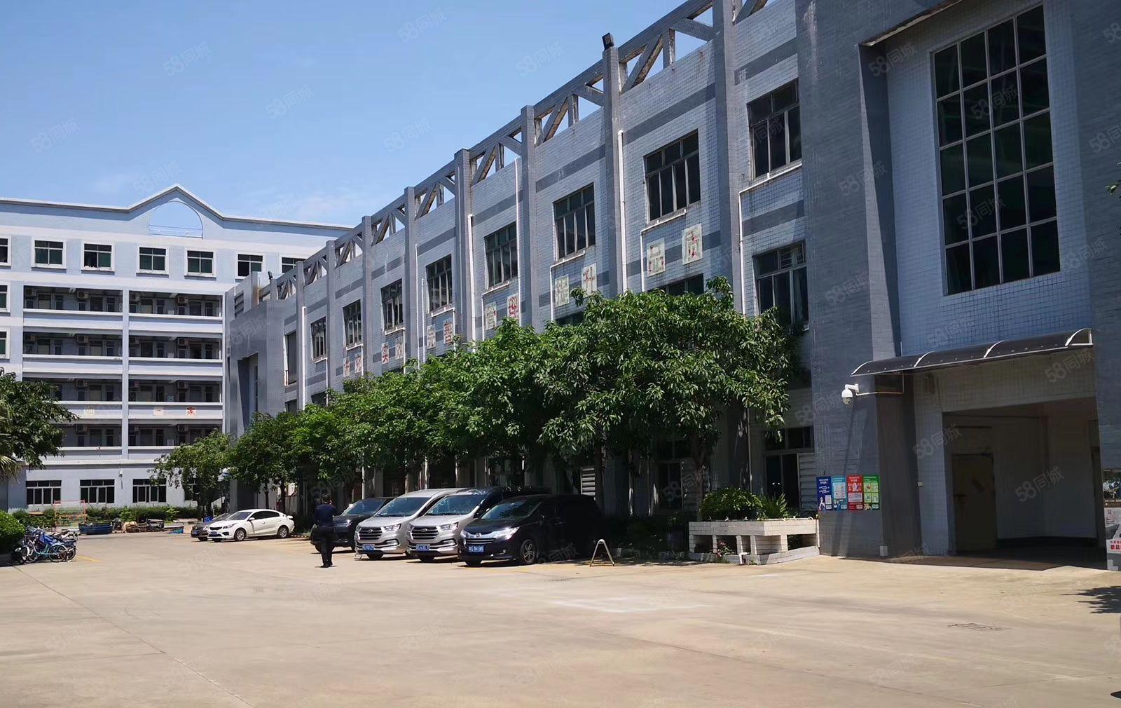 厚街现成鞋材环评独院厂房3360方可分租