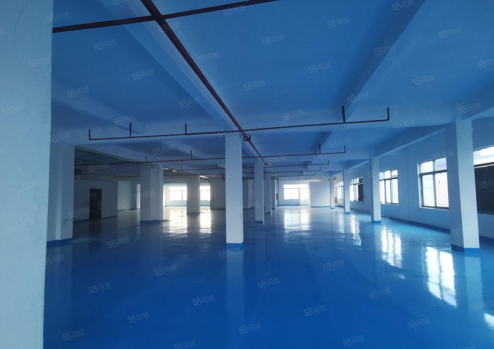 厚街镇厚街村，二楼全新厂房低价招租，有精装办公室，消防齐全。