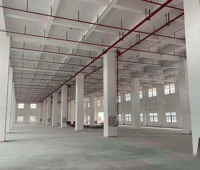 厚街原房东高度10米16000平独院厂房，适合做物流冻库五金