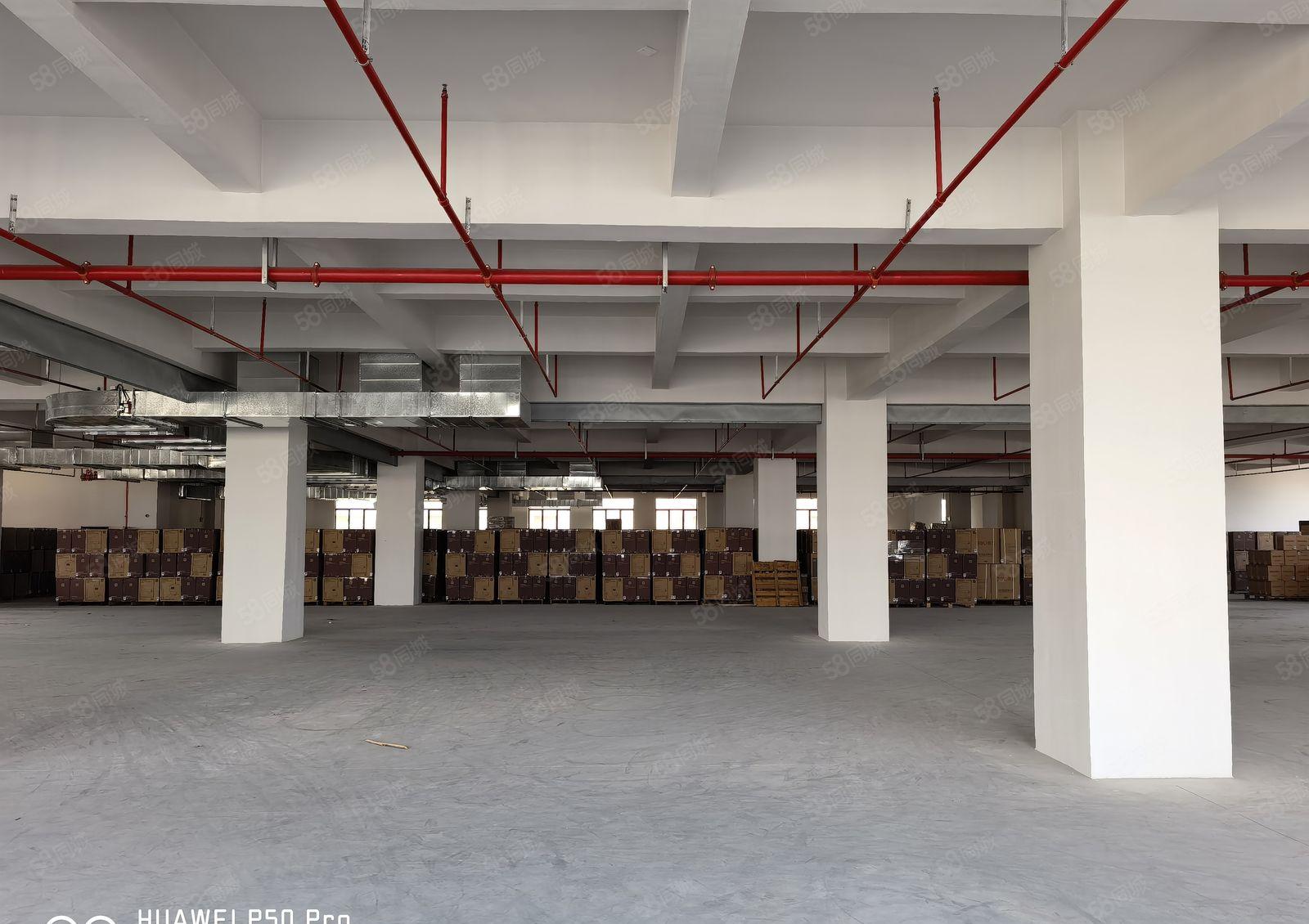 厚街临环莞快速 新形象高大尚 厂房3楼整层3500平可分一半