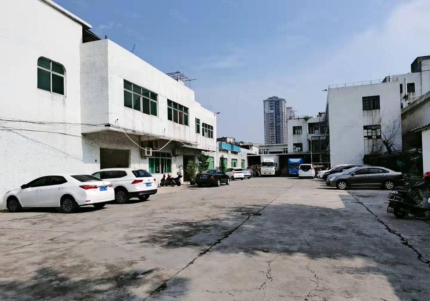 厚街4000房独门独院厂房 超大空地 价格美丽