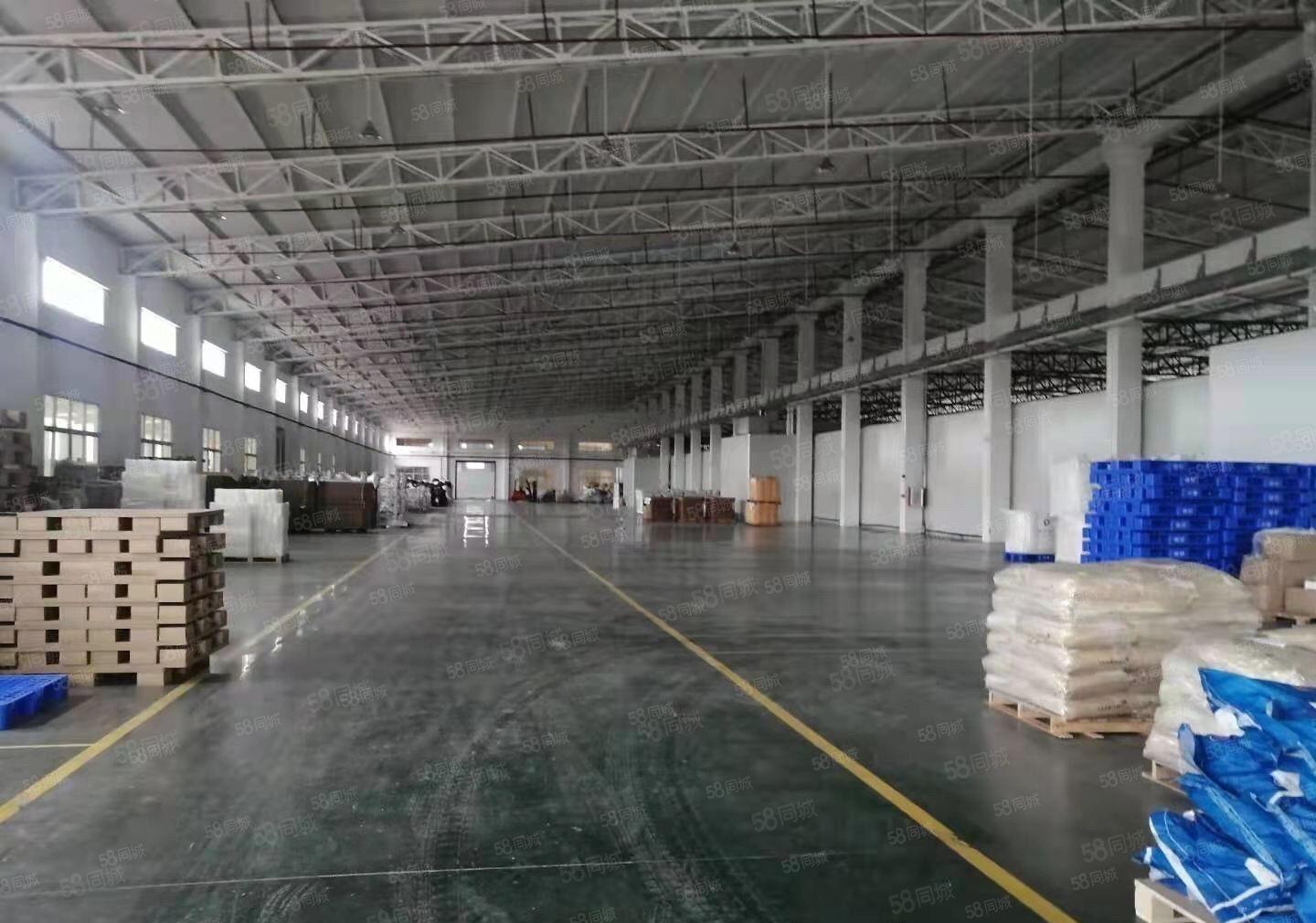 （1200平独院）单一层9米钢构带装修原房东厂房出租。