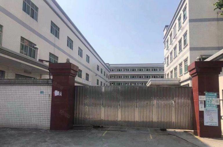 （出租）厚街新出1000平方标准厂房，水电齐全采光十足