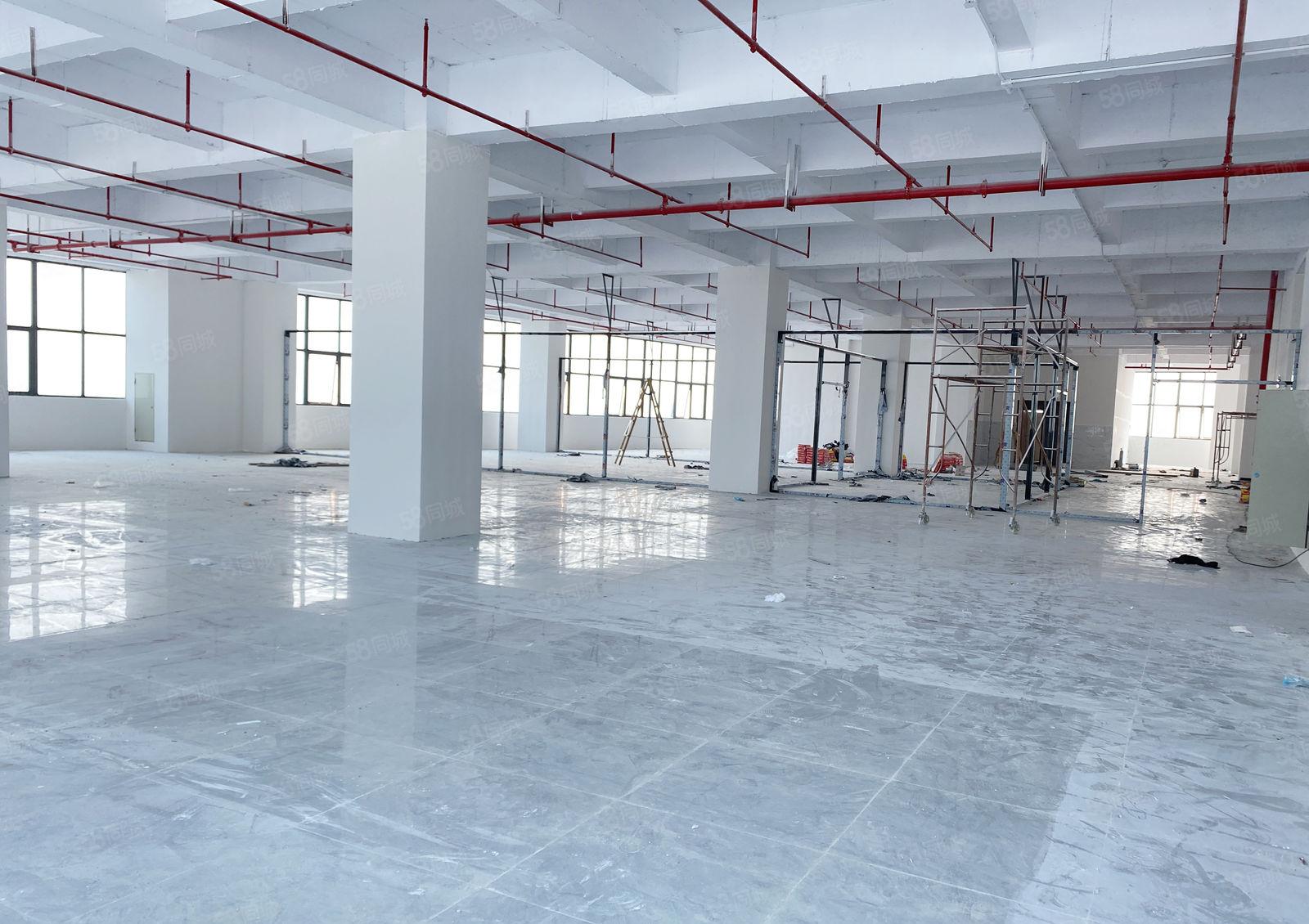 厚街全新厂房适合电商公司进驻 可做仓库 采光好 环境佳