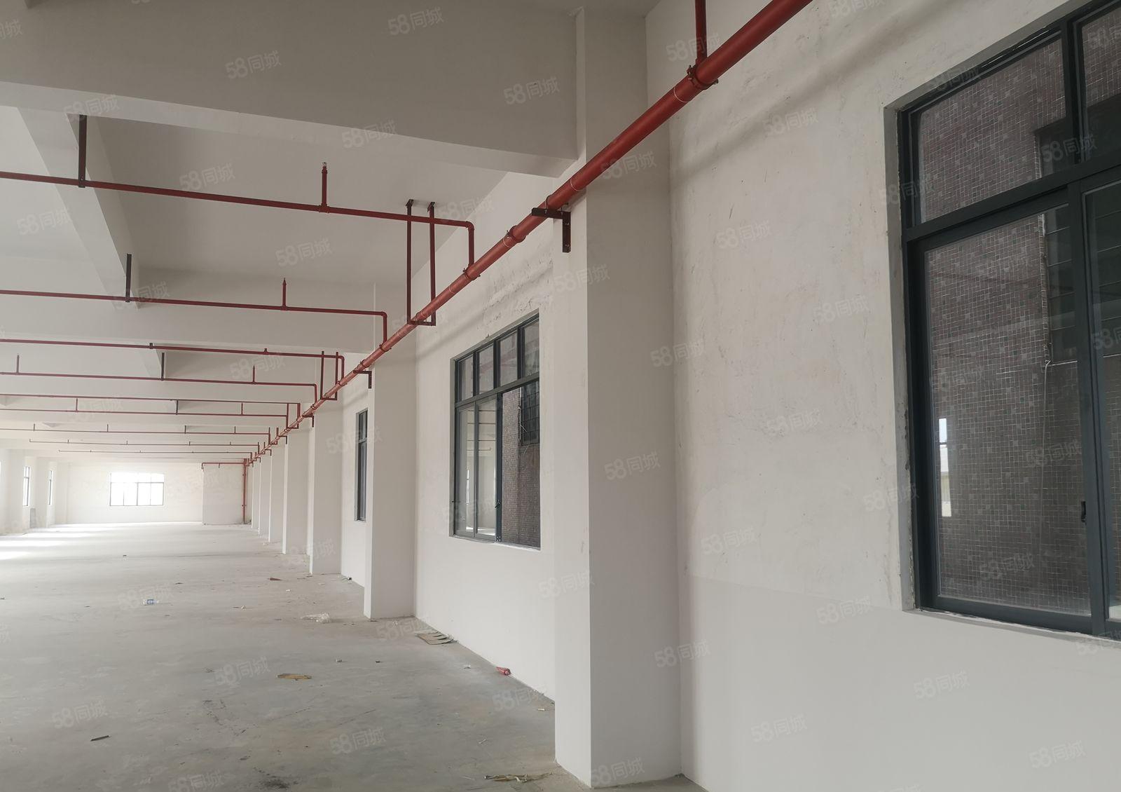 厂房出租，可办环评，随时看房，适合各种行业