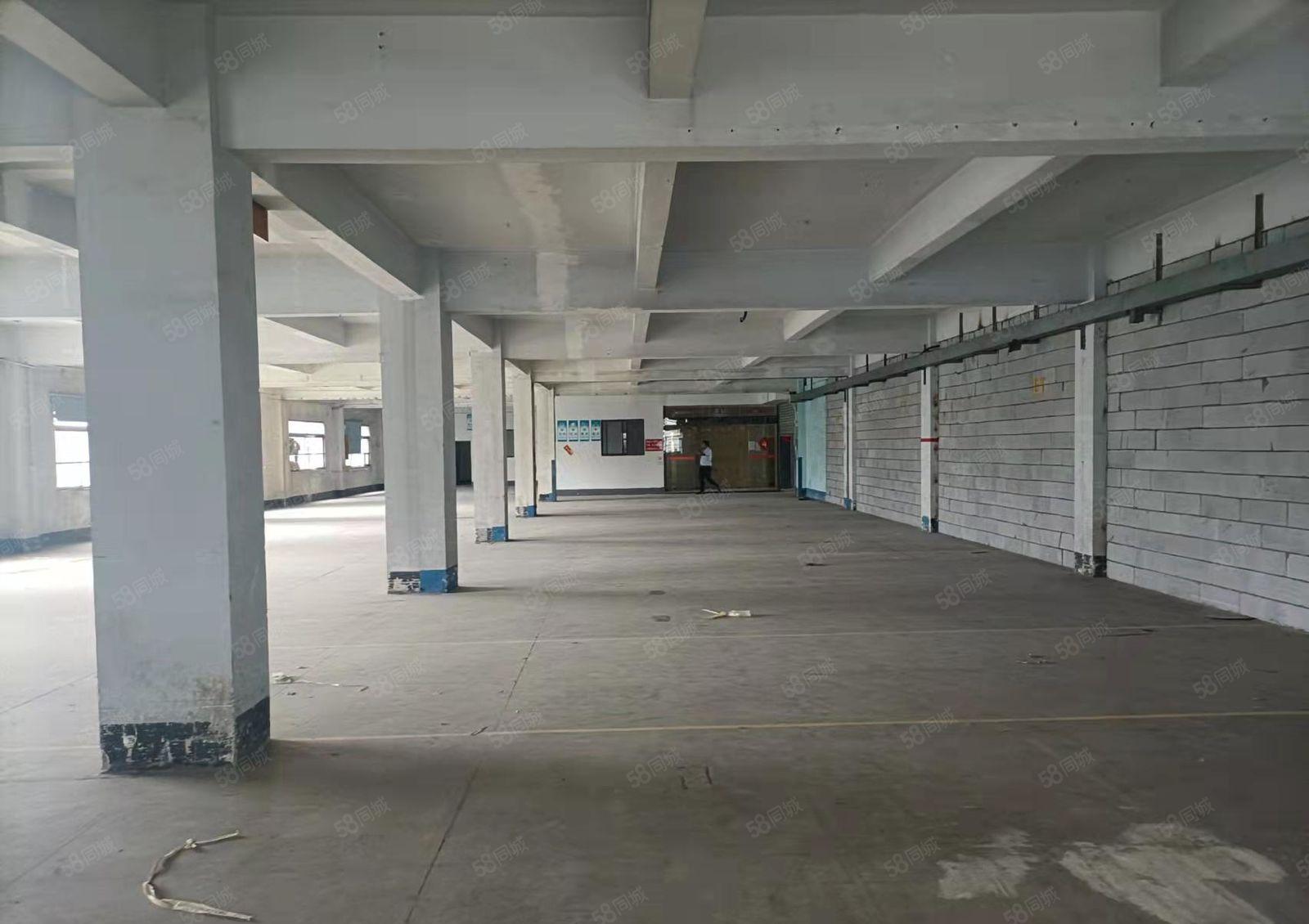 厚街新塘带豪华精装修办公室1650平水电齐全厂房出租仓库出租