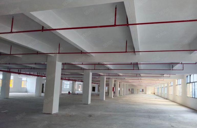 厂房出租 厚街镇陈屋地铁口 独院厂房