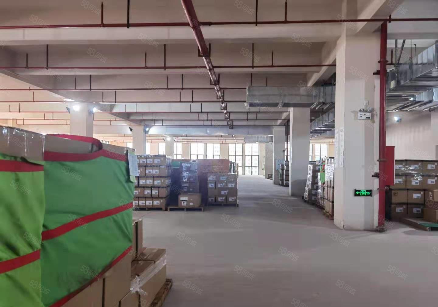 （独门独院）厚街原房东独门独院4000平实际面积出租