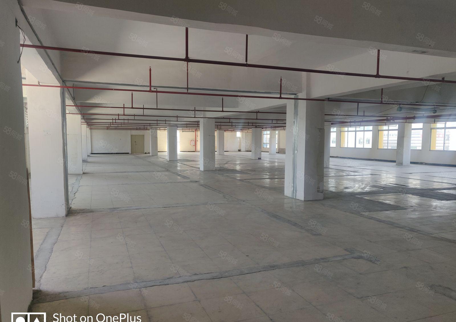 沙塘新空出1600平厂房园区空地大停车位充足能进大车