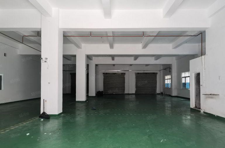 厚街三屯厂房一楼700平方13块带精装修办公室现成水电地坪漆