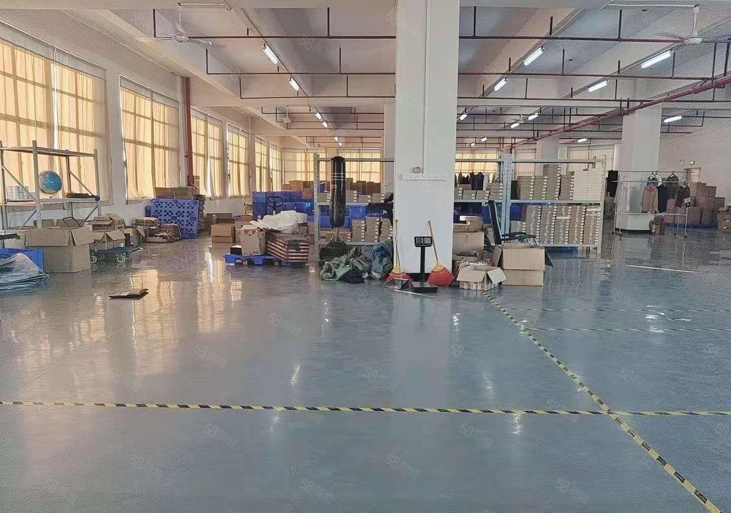 （独门独院）厚街原房东独门独院4000平实际面积出租