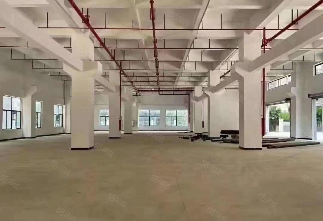 厚街全新独院重工业厂房 层高7米带牛角