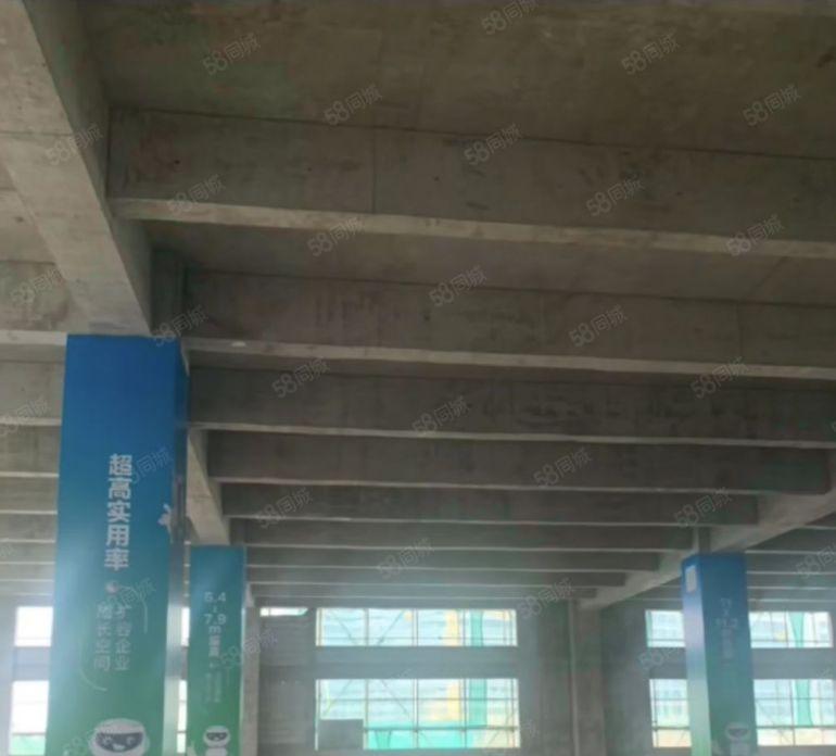 厚街全新高标厂房15起招商中含税随时可参观便利可环评