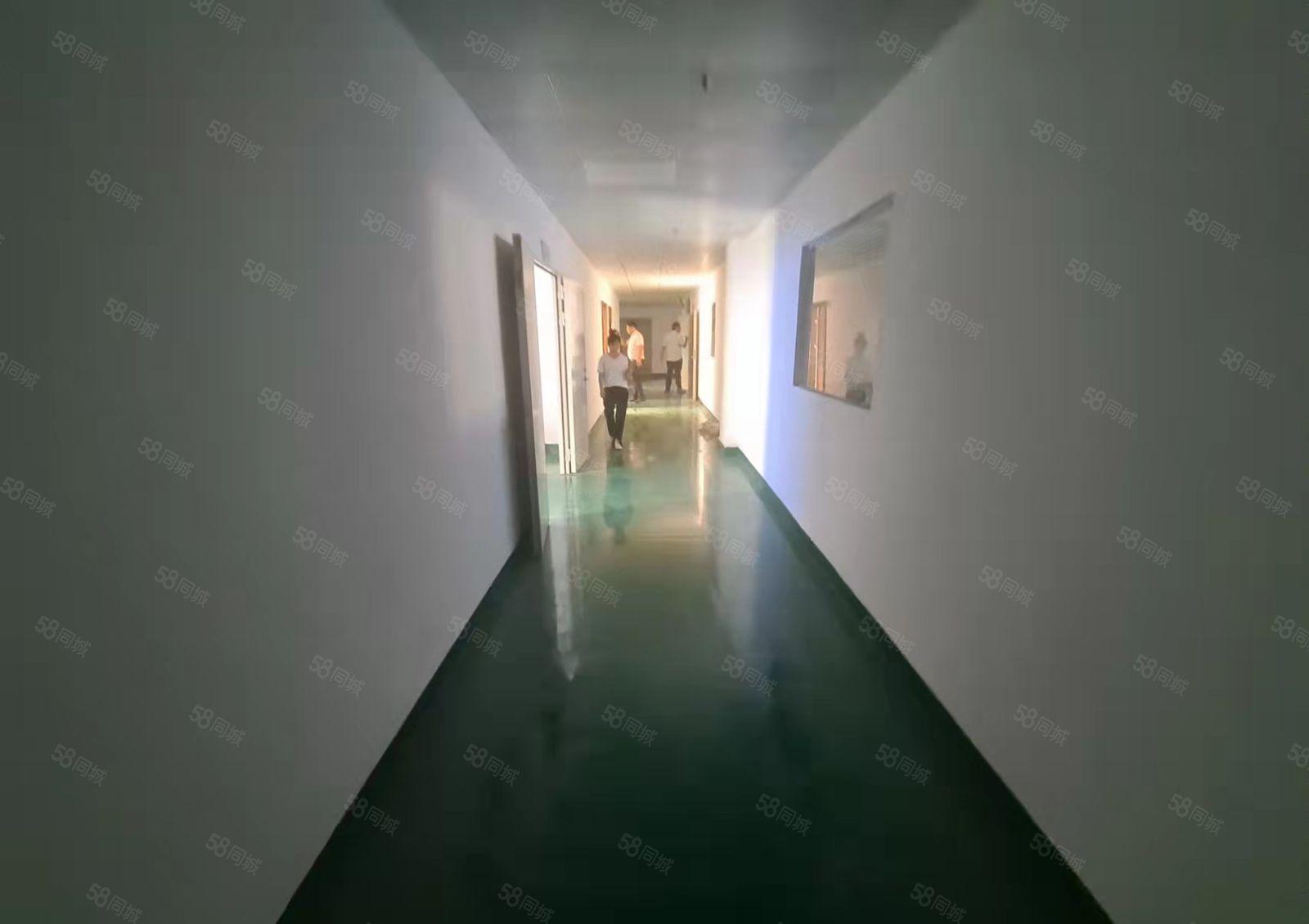 沙塘新出独院带豪华装修办公室厂房900平厂房出租仓库出租