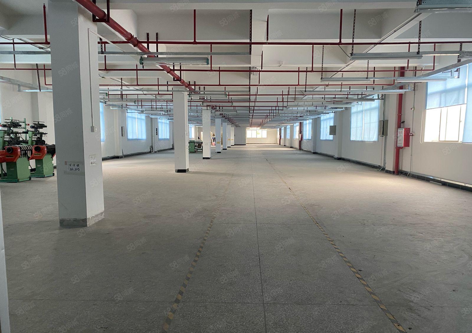 原房东 全新厂房 交通方便 空地大 2吨电梯