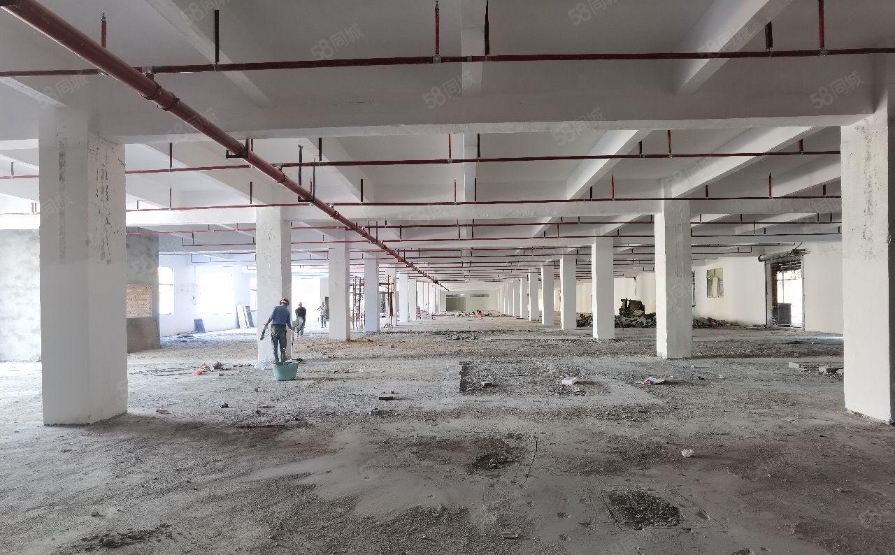 厚街陈屋莞太路600平高标准装修独门独院一楼