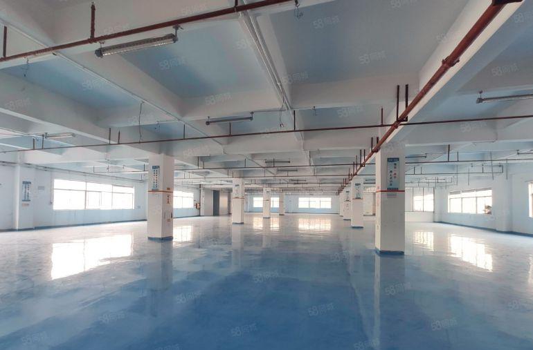 三楼2000平10块 精装修 厚街低价工业厂房出租