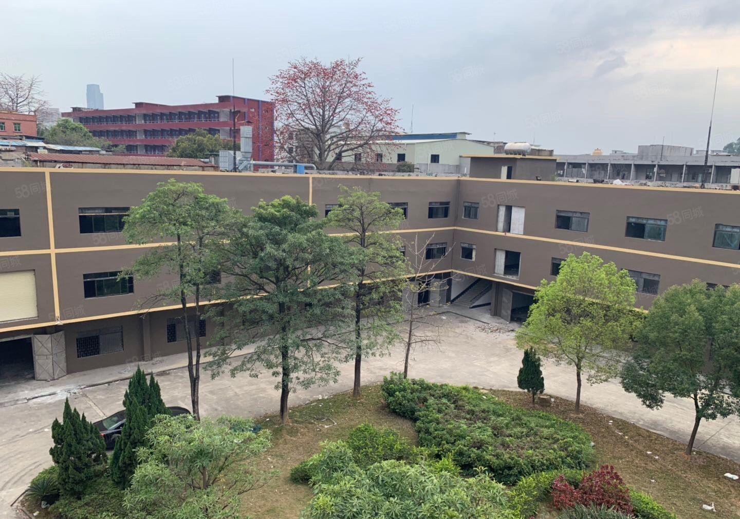 厚街花园式厂房一楼3000方，现成鞋材环评