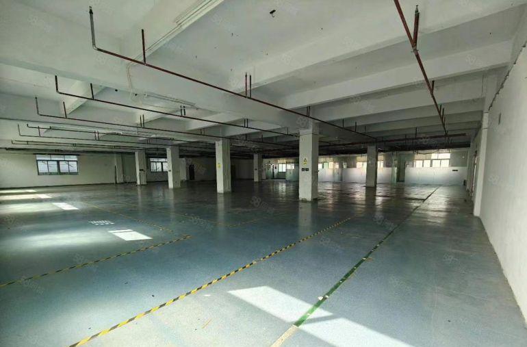 厚街新出标准厂房3楼1700方，空地大，形象好