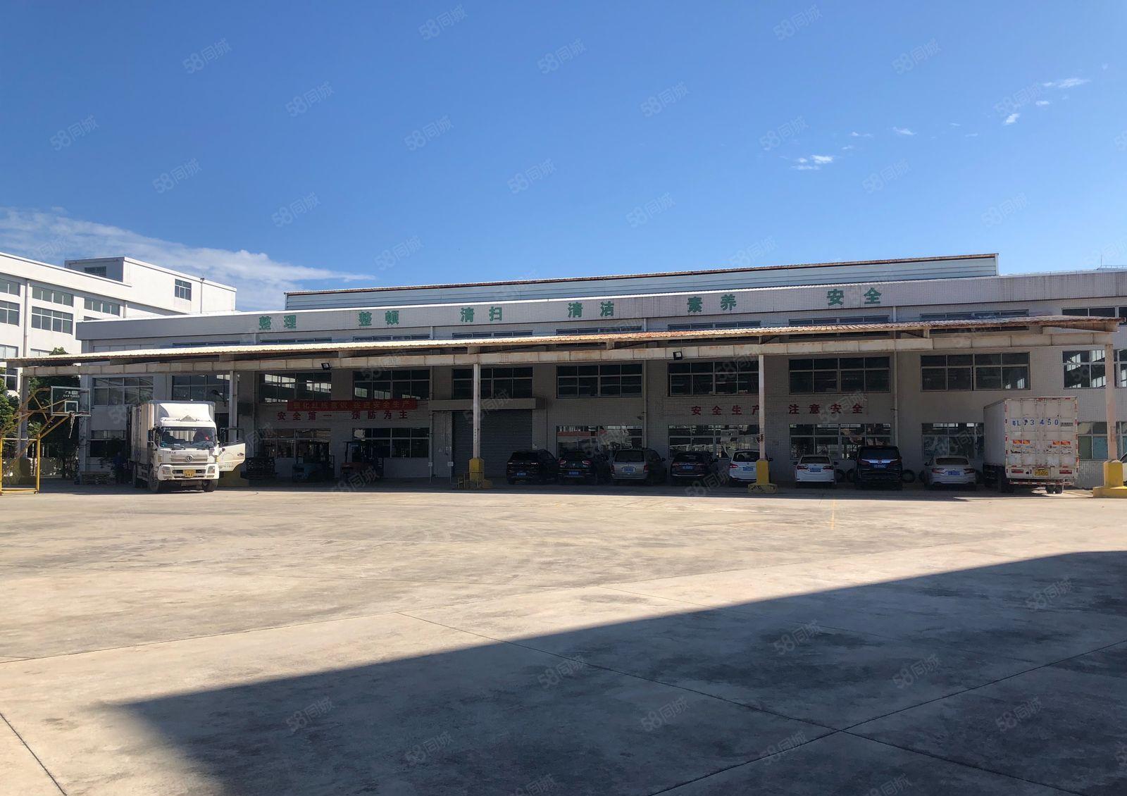 厚街镇红本厂房53000平米招租