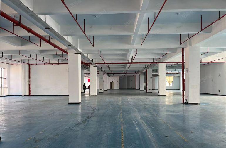 厚街镇新出楼上二楼带环评和油房家具厂房8300