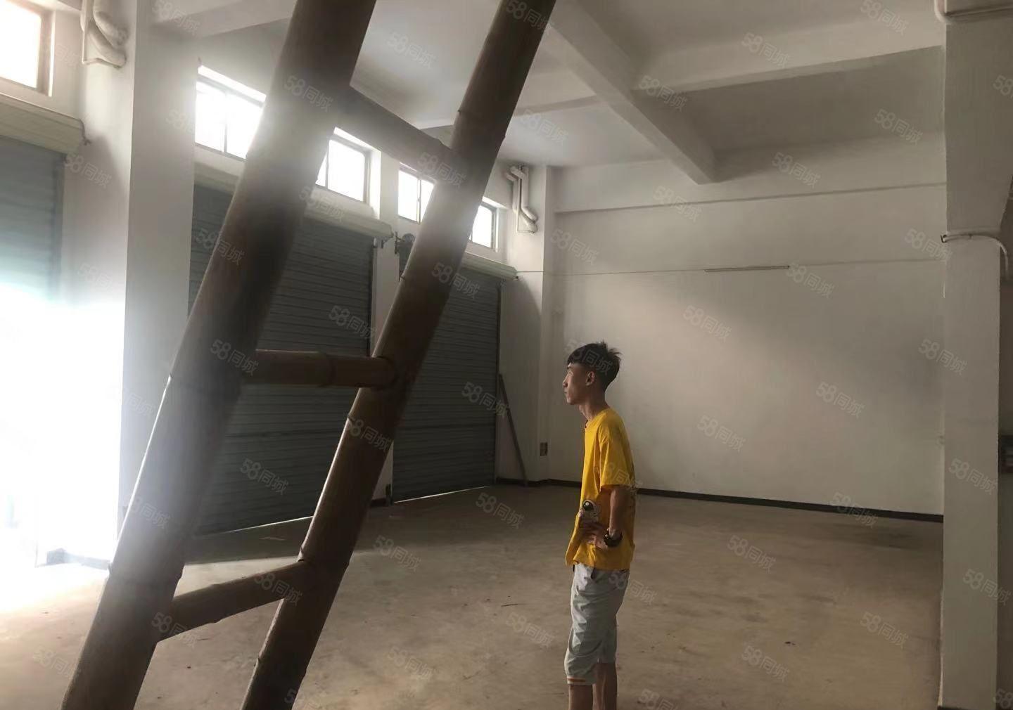 厚街全新原房东一楼240方出租带阁楼