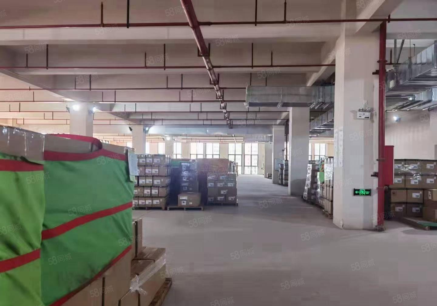 1000平一楼高度6米独院原房东高水电费自己交