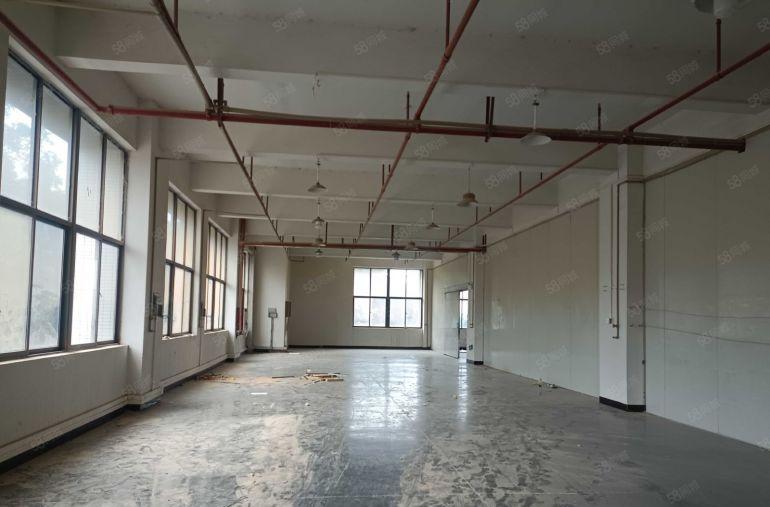 厚街园区新出一楼1500平方厂房带现成豪华装修办公室拎办入驻