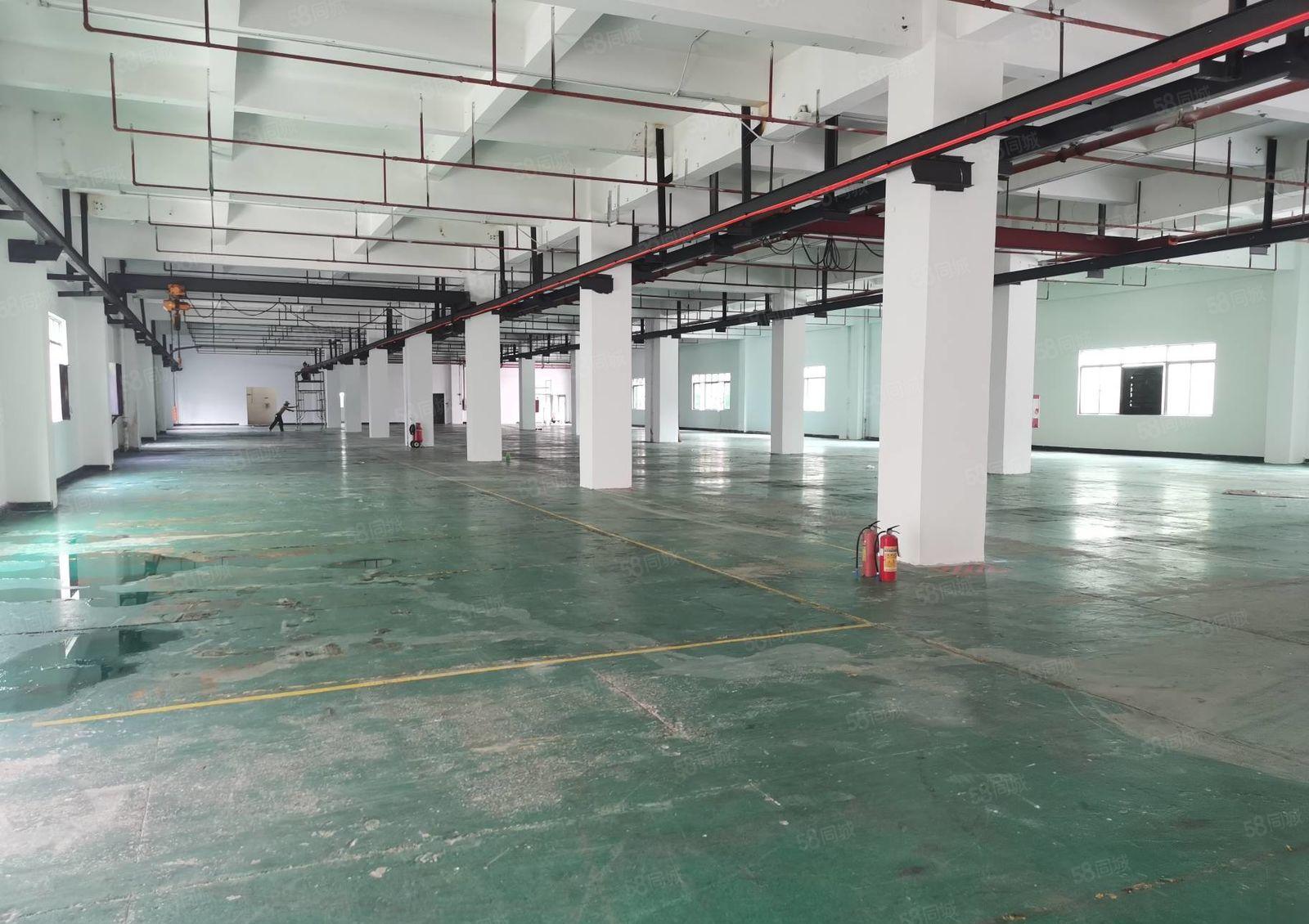 厚街白濠新出独门独院标准厂房可分租，空地免费用，可办环评