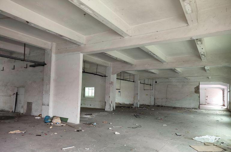 厚街标准独院厂房出租 空地大 适合五金 模具 鞋材 皮革家具