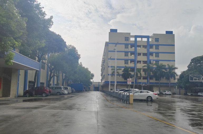 （花园式厂房）厚街镇新出厂房一楼二楼各2125方 可分租