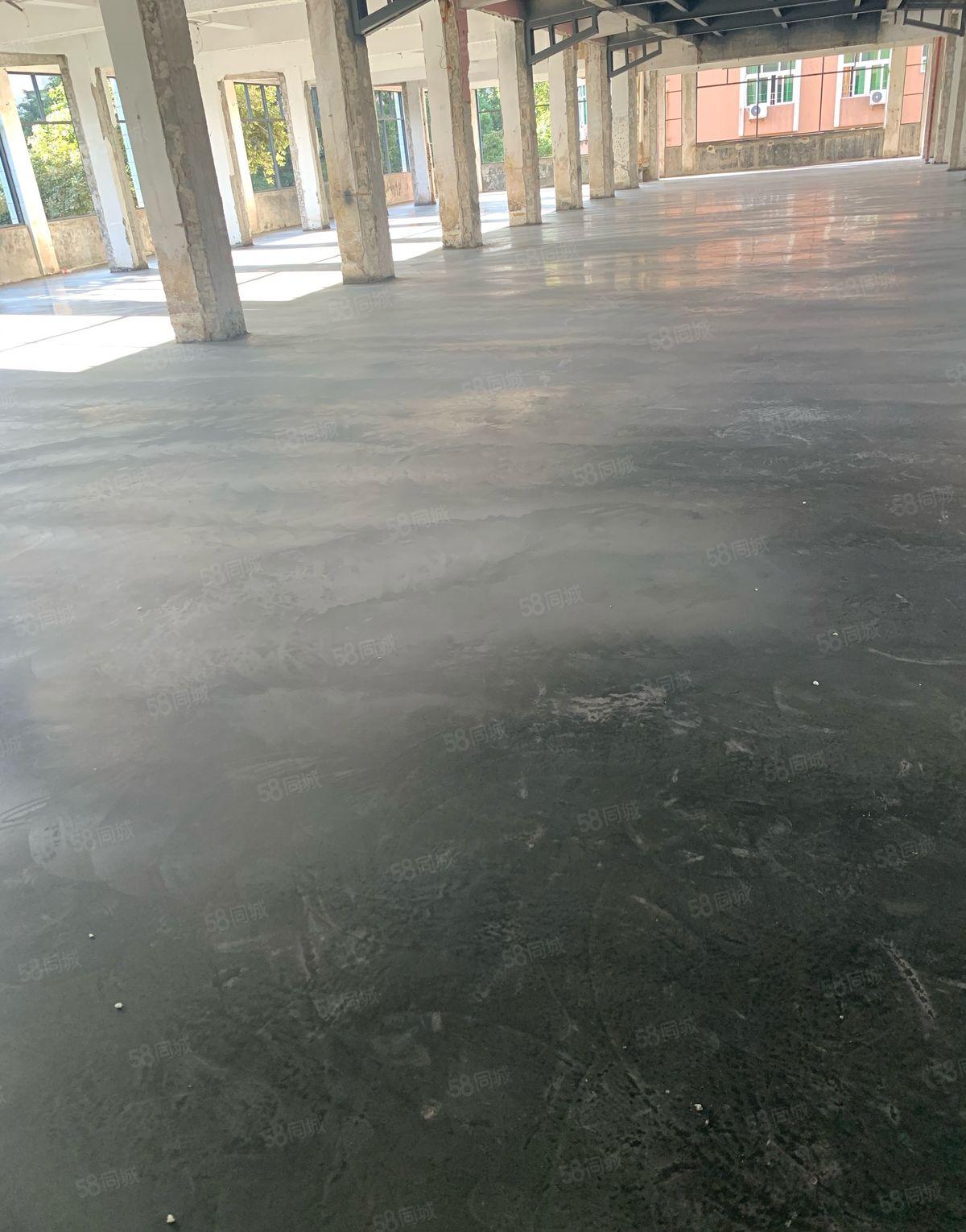 厚街大道3000方厂房低价出租