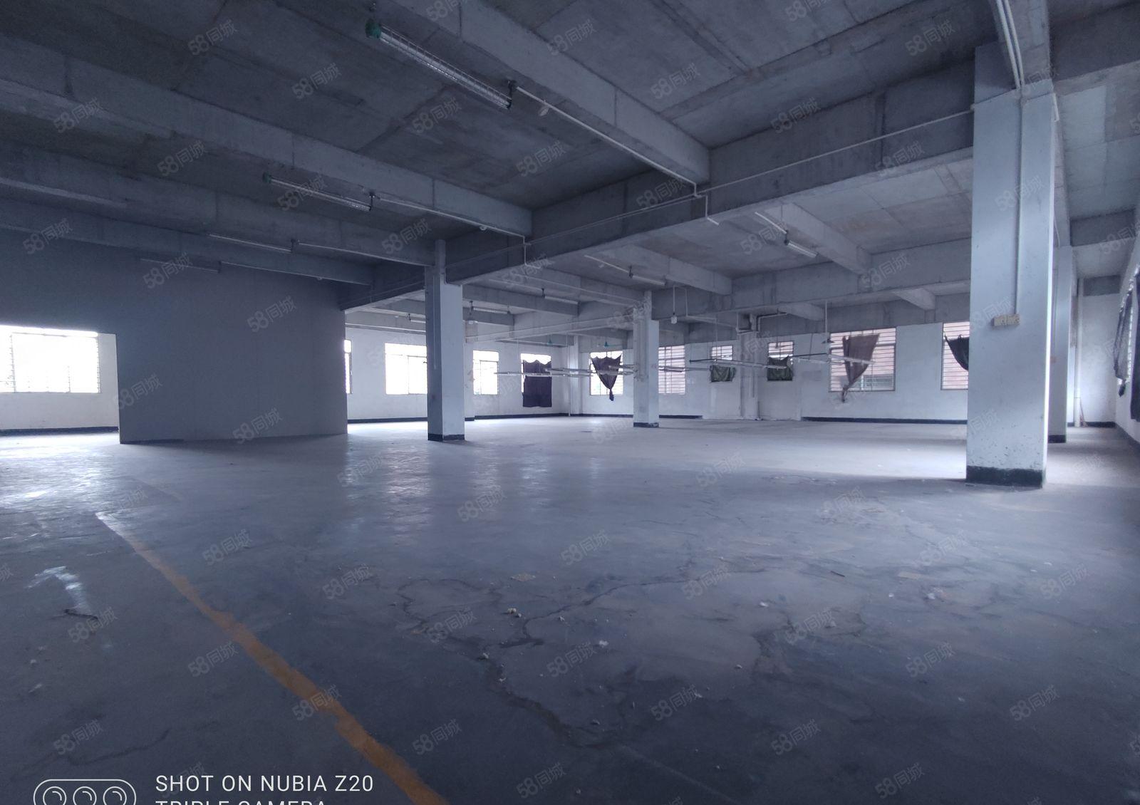 厚街工业小独栋厂房低价出租软包家具工厂2600平方