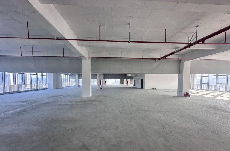 厚街全新红本标准厂房，交通便利，临近高速口12元起租。