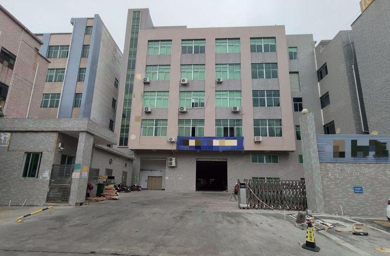 厚街标准一楼厂房 带牛角 层高6.5米 适合设备 五金 家具