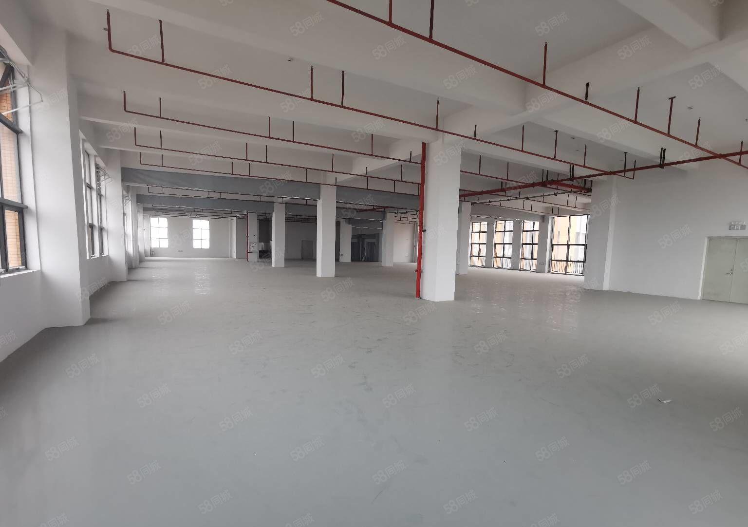 厚街带红本厂房3500平方，可分租，形象好空地大，实际面积出