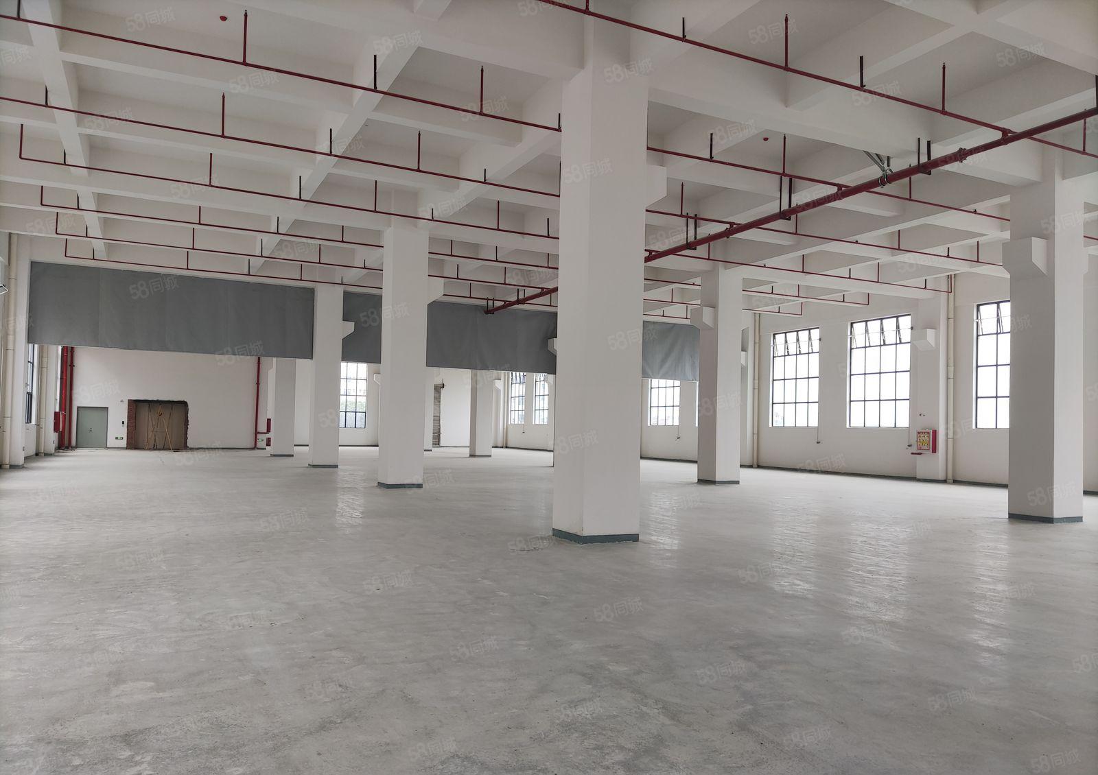 厂房出租  厚街新出带喷油环评厂房，适合各种行业，房东够实力