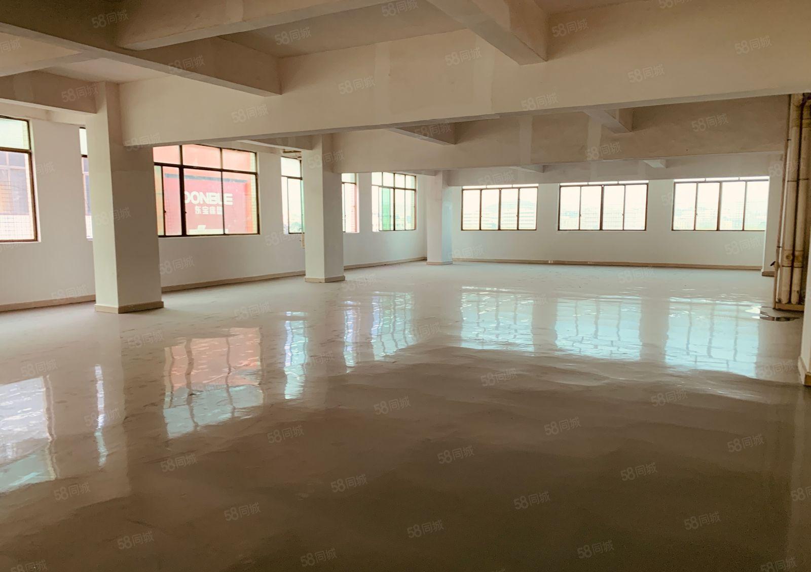 厚街500方全新翻修环氧地坪漆厂房