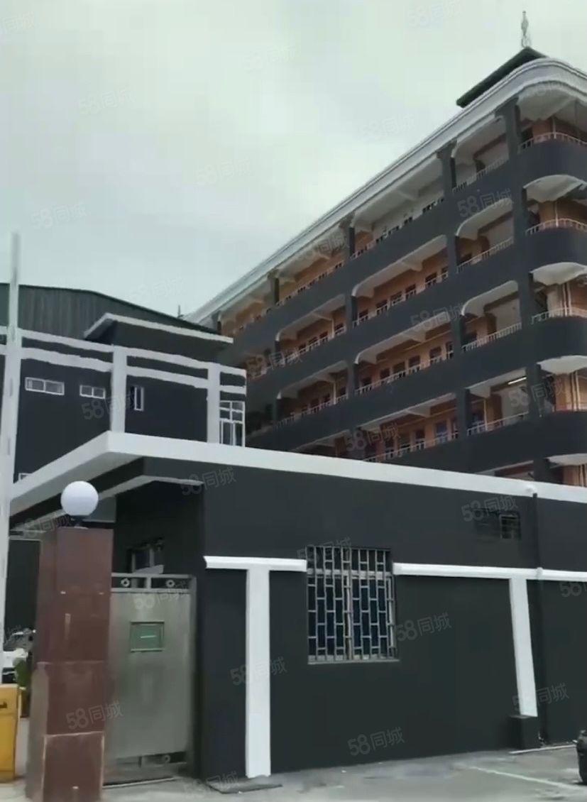 厚街镇赤岭村独门独院科技园大面积