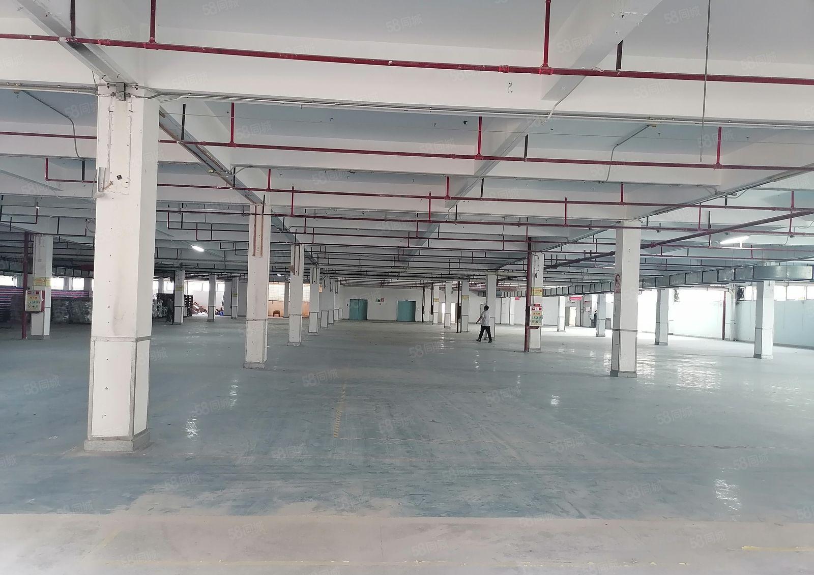 厚街镇新出花园式红本科技园，工业用地可以办环评，形象好空地大