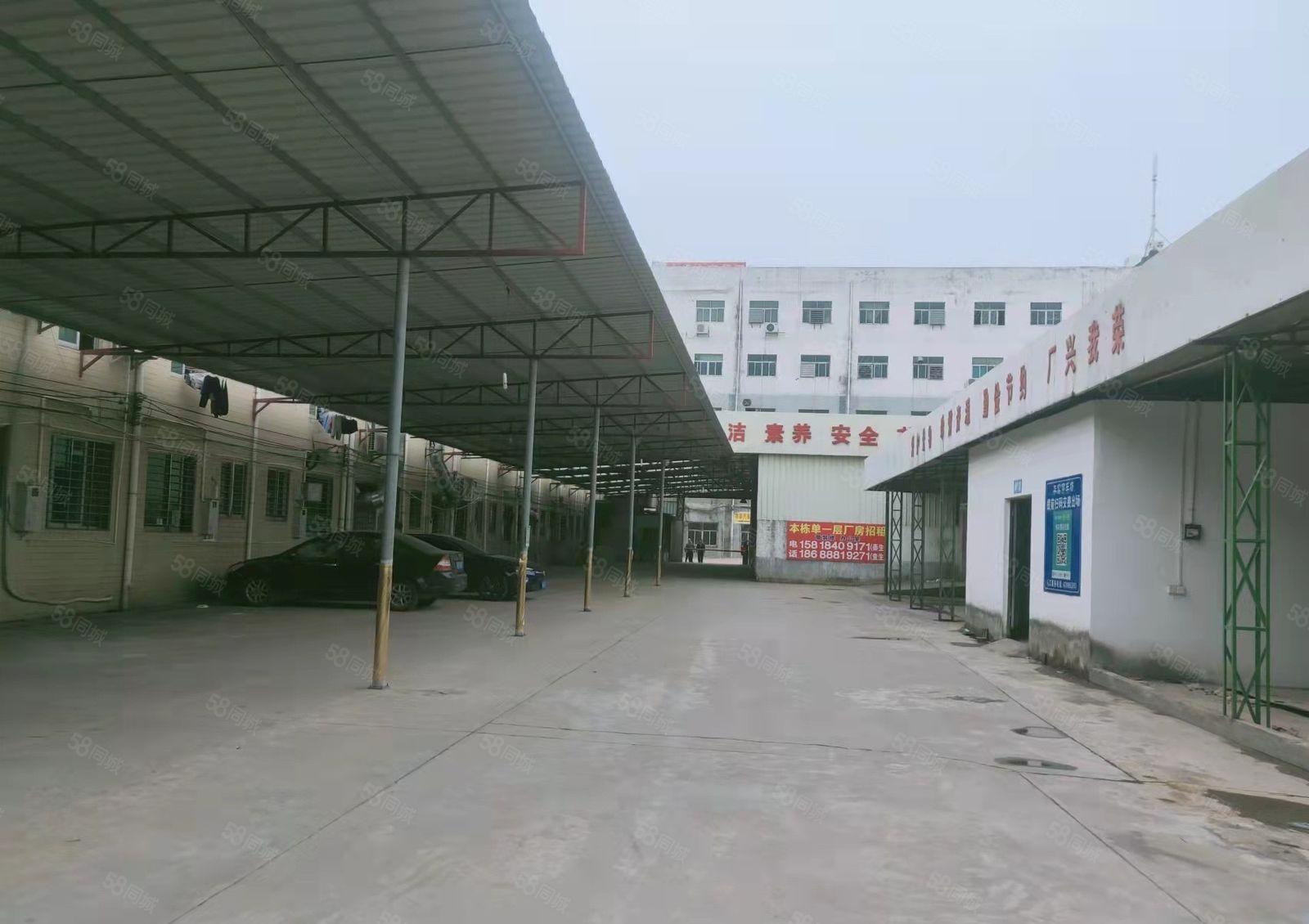 厚街独门独院可分租5000平全新装修