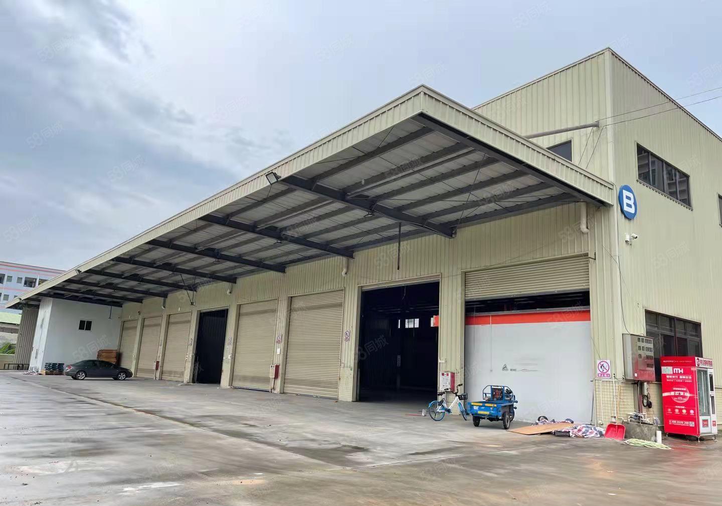 厚街新出单一层钢构厂房2600平方出租，高度12米