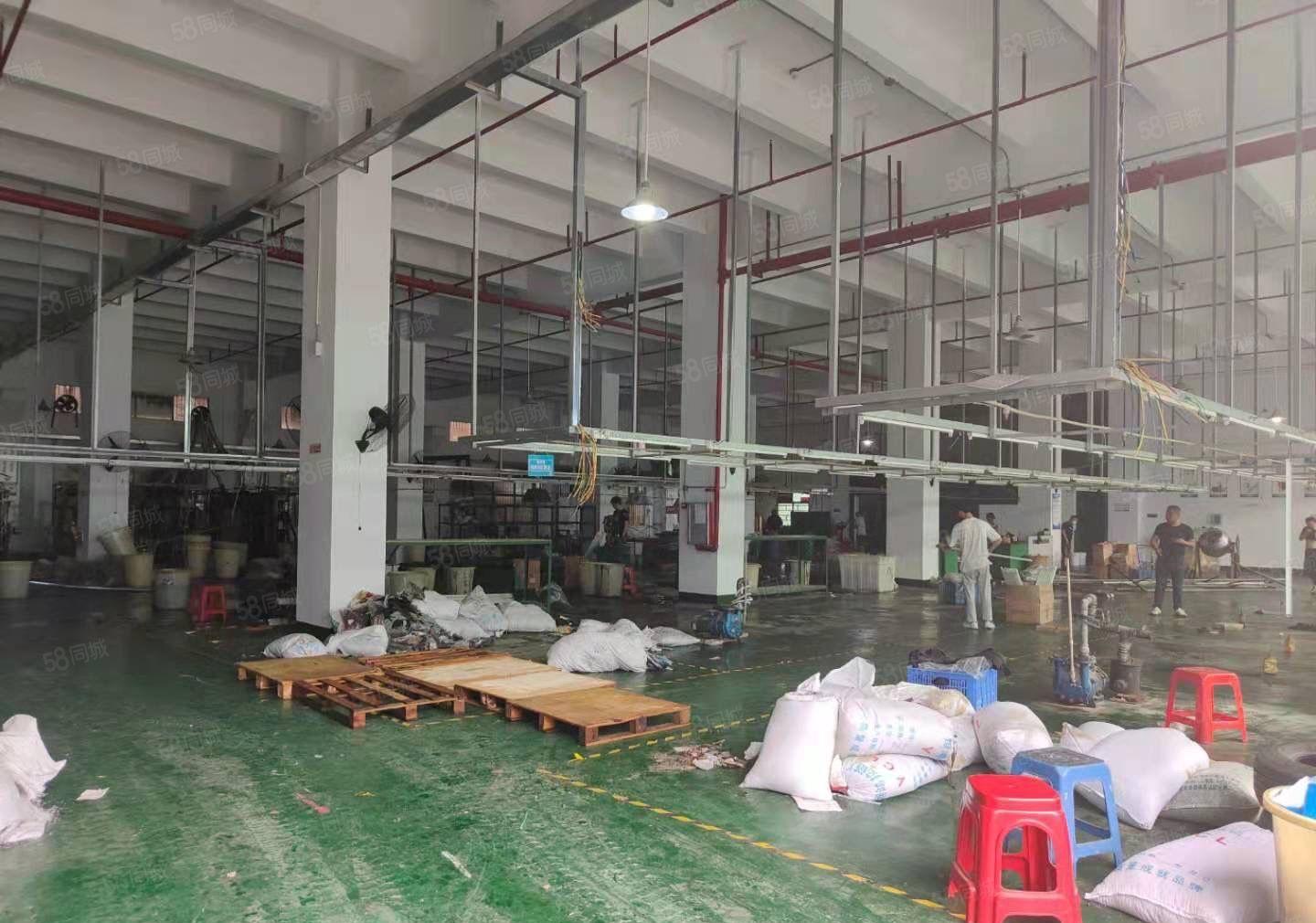 厚街原房东1725平方一楼6.5高精装修形象好水电齐全厂房