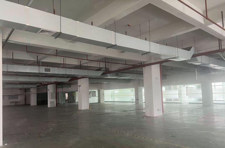 厚街镇 三屯园区楼上10块钱厂房1000平起分水电齐全精装修