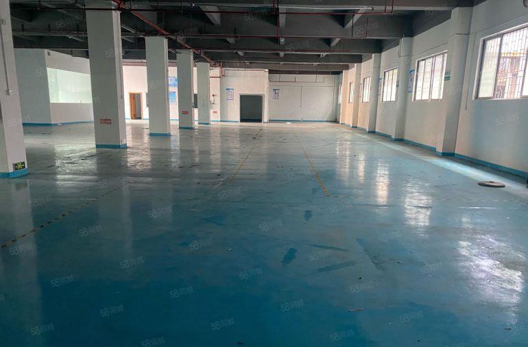 厚街镇1500平园区厂房形象OK现成办公室易招工独门独院