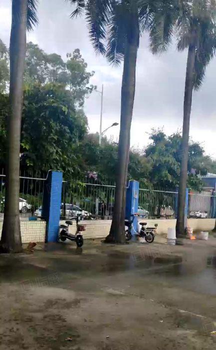 （花园式厂房）厚街镇新出厂房一楼二楼各2125方 可分租