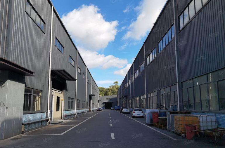 滴水13米全新钢结构厂房4000平低价出租工业园区形象非常好